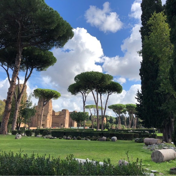 from 20 Oct to 10 November - Picture 9 of 14